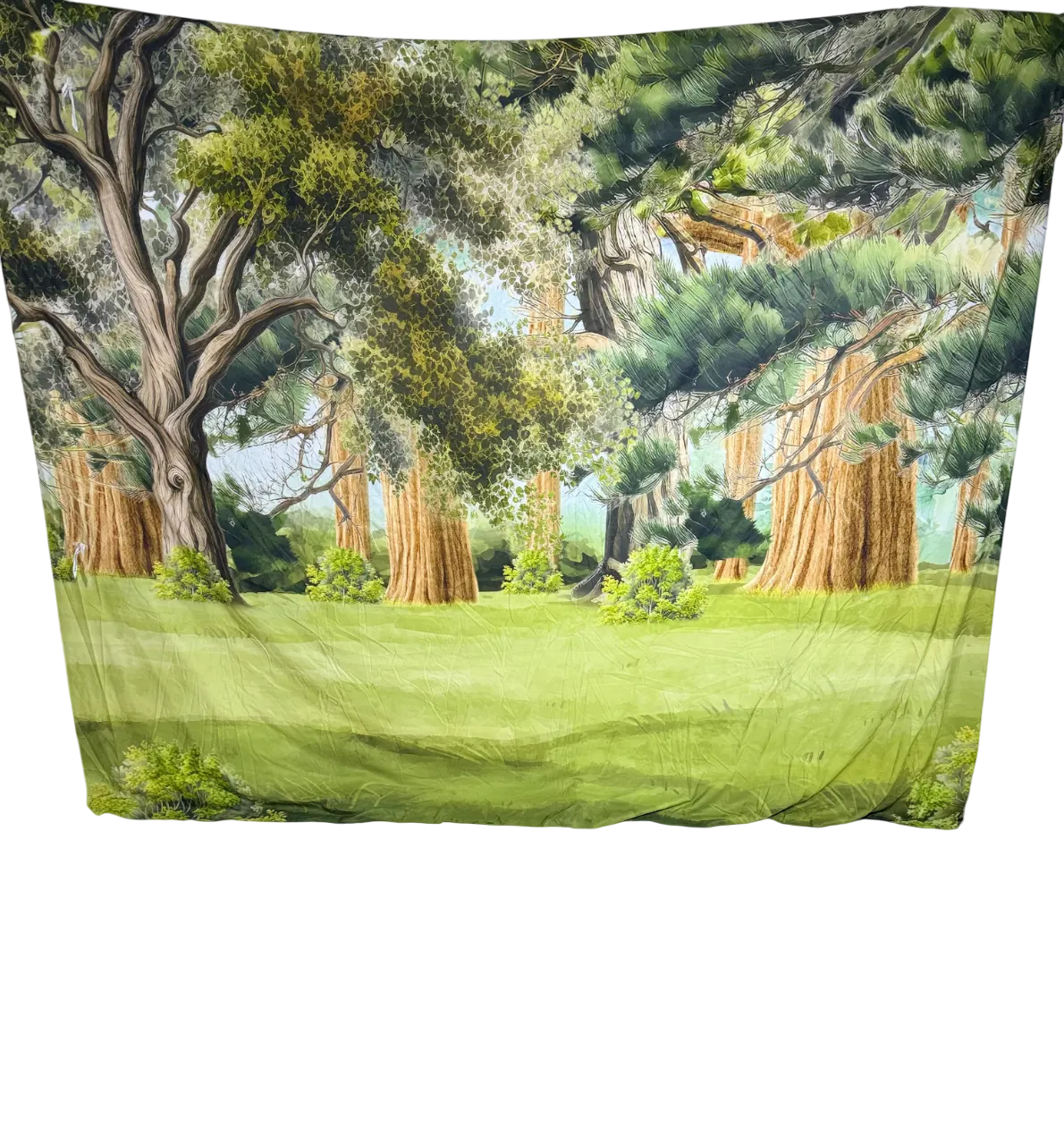 IMG_3886-Photoroom Fondo tipo bosque - Image 1